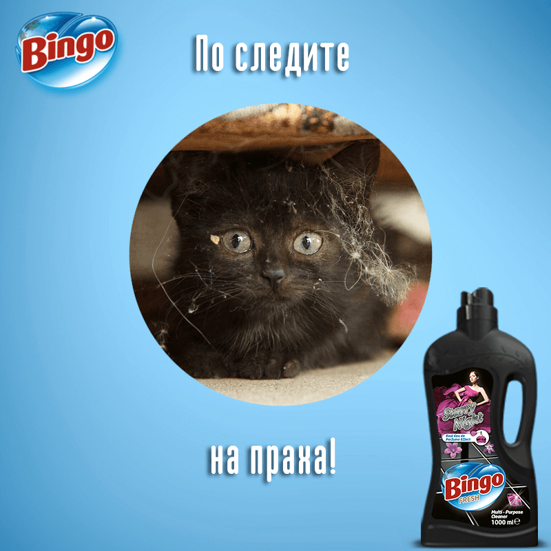 11407216_755937987837282_992668826690337140_n