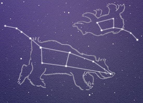 bears