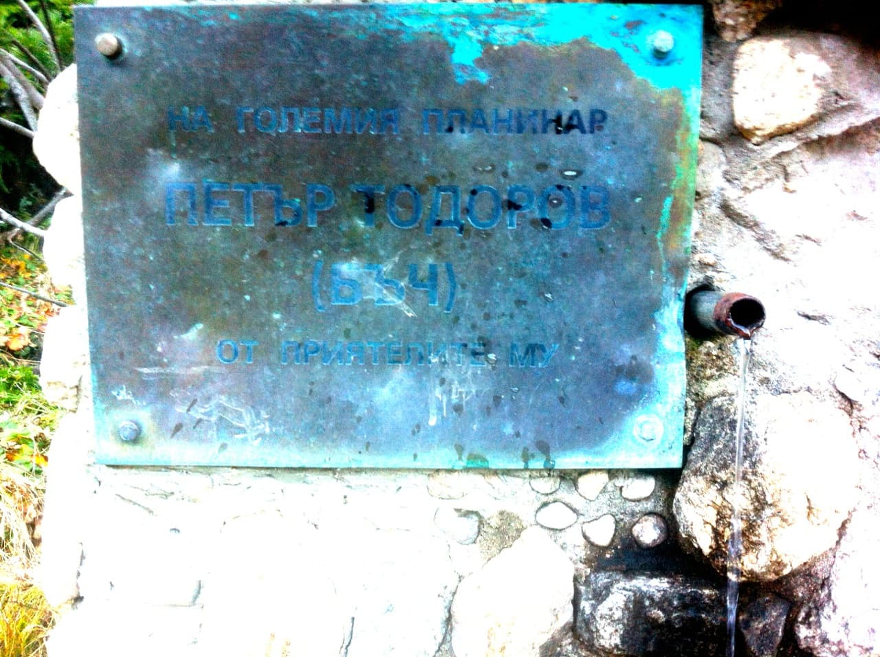 9b
