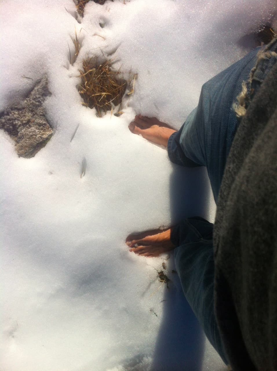 feet in snow